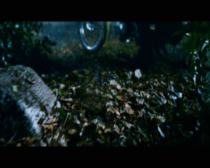 PDVD_132.jpg