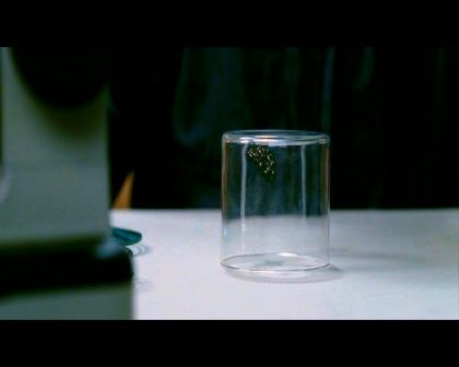 PDVD_1448.jpg