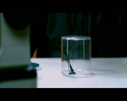PDVD_1449.jpg