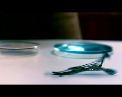 PDVD_1464.jpg