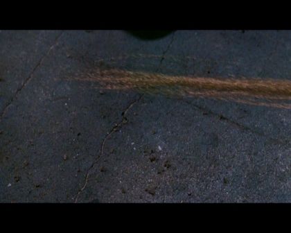 PDVD_1502.jpg