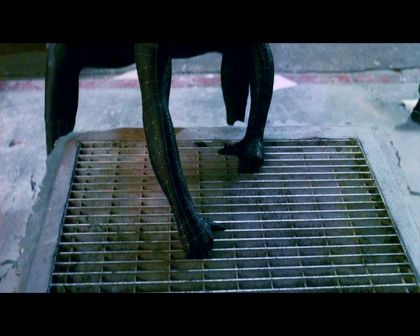 PDVD_1509.jpg