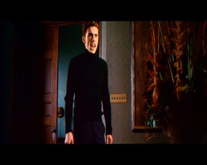 PDVD_1780.jpg