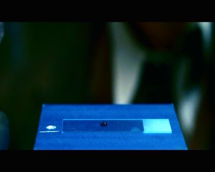 PDVD_2083.jpg