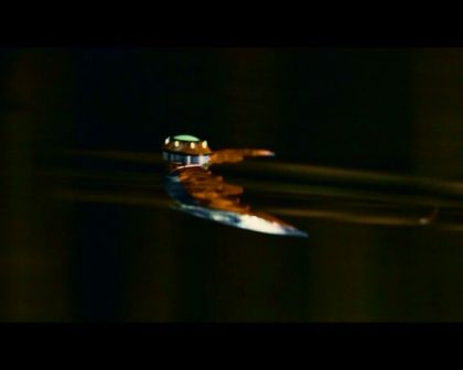 PDVD_387.jpg