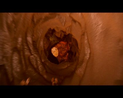 PDVD_517.jpg