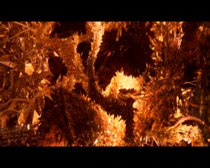 PDVD_522.jpg