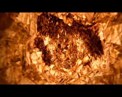 PDVD_523.jpg