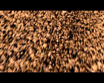 PDVD_598.jpg