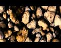 PDVD_594