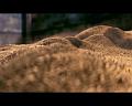 PDVD_602