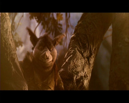 PDVD_1328.jpg