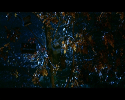 PDVD_2147.jpg
