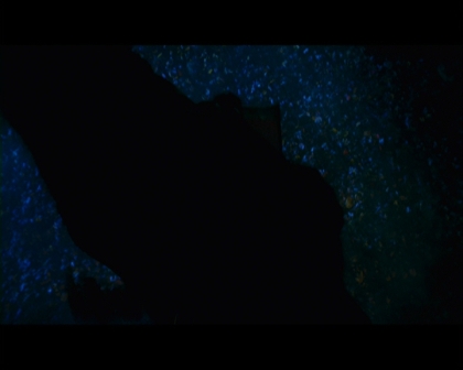 PDVD_2160.jpg