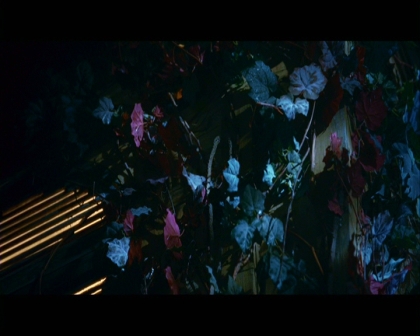 PDVD_2173.jpg