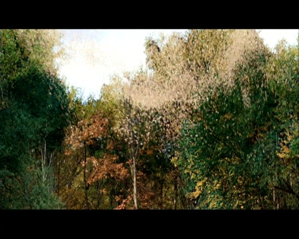 PDVD_2305.jpg