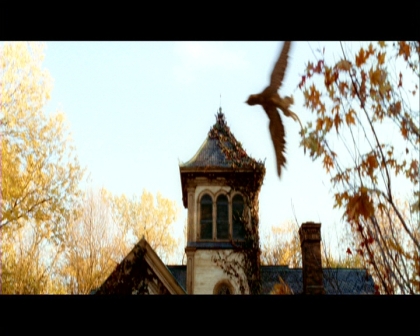 PDVD_2316.jpg