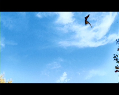 PDVD_2317.jpg