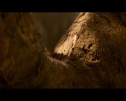 PDVD_674.jpg