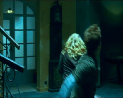 PDVD_1115.jpg