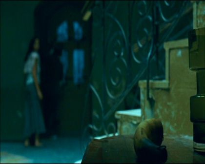 PDVD_1128.jpg