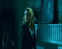 PDVD_1235