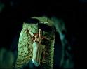 PDVD_470