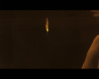 PDVD_1009.jpg