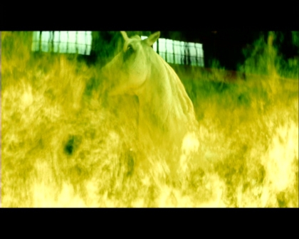 PDVD_1147.jpg