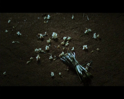 PDVD_140.jpg