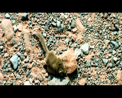 PDVD_1866.jpg