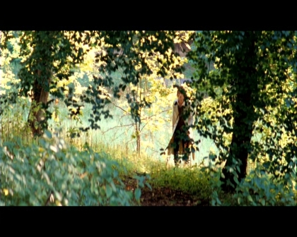 PDVD_2010.jpg