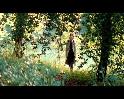 PDVD_2011.jpg
