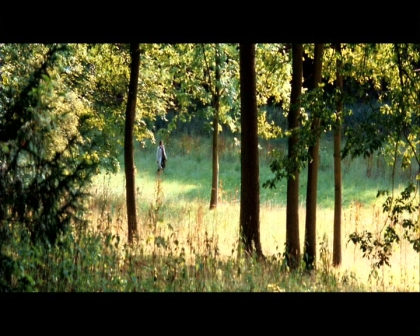 PDVD_2012.jpg