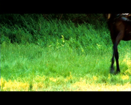 PDVD_2150.jpg