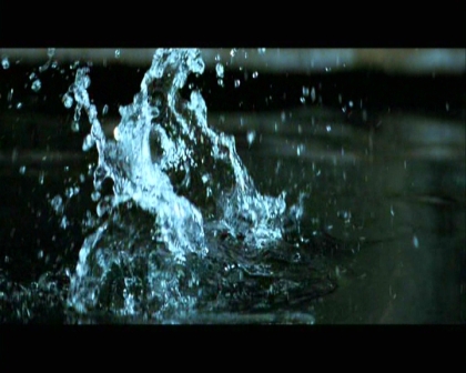 PDVD_2349.jpg