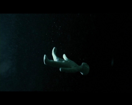 PDVD_2350.jpg