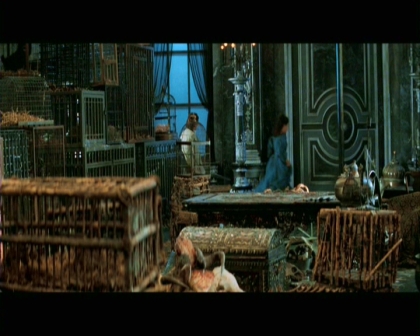 PDVD_2383.jpg