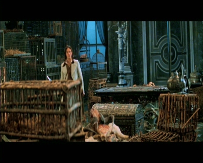 PDVD_2390.jpg