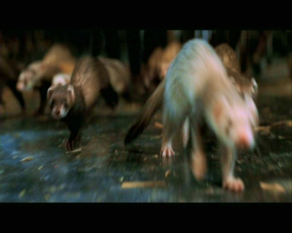 PDVD_2401.jpg