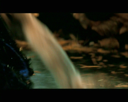 PDVD_2402.jpg