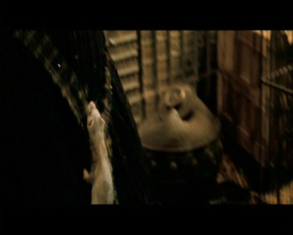 PDVD_2403.jpg