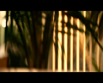 PDVD_2991.jpg