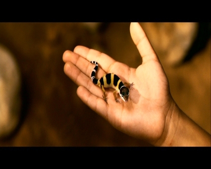 PDVD_3264.jpg