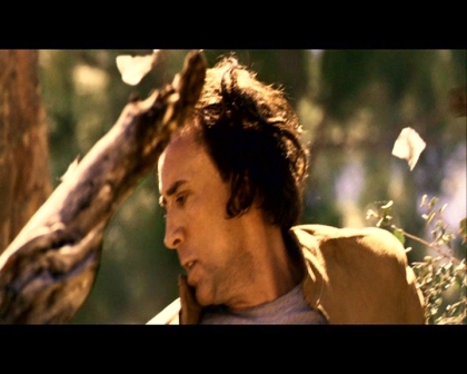 PDVD_3821.jpg