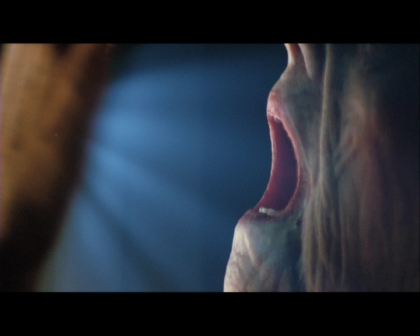 PDVD_433.jpg
