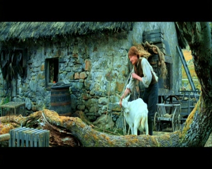 PDVD_686.jpg