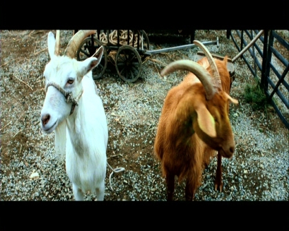 PDVD_697.jpg