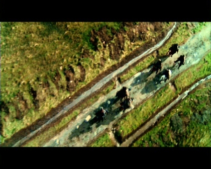 PDVD_706.jpg
