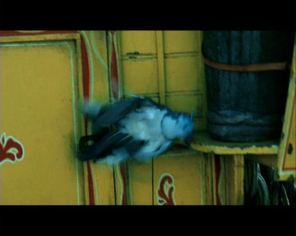 PDVD_767.jpg